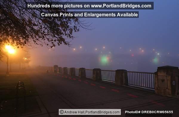 Morrison Bridge at Daybreak, Foggy, Tom McCall Waterfront Park (Portland, Oregon)