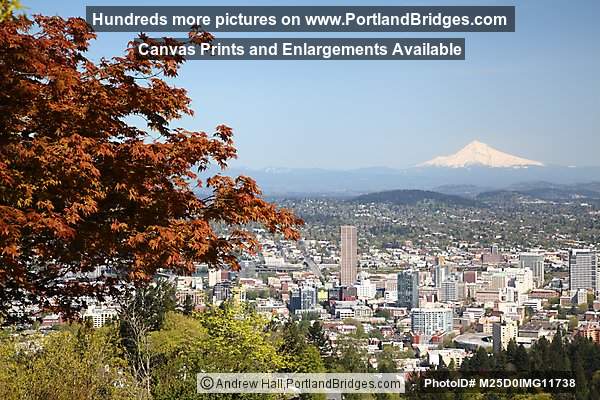 Portland Mt. Hood View from Pittock Mansion