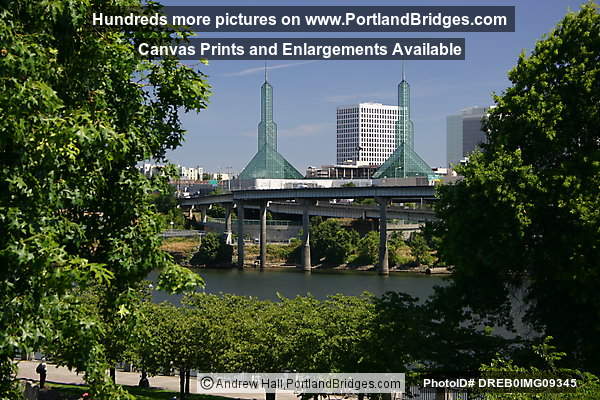 Oregon Convention Center through Trees (Portland, Oregon)