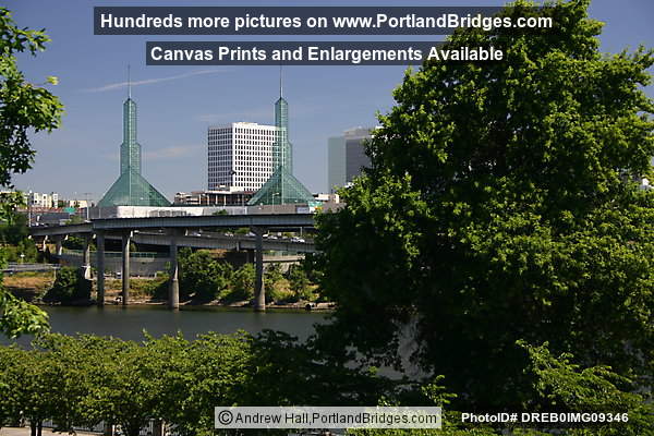 Oregon Convention Center through Trees (Portland, Oregon)