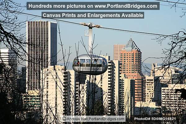 Portland Aerial Tram, Portland Buildings
