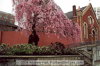 St. Michael the Arc Angel Church (Portland, Oregon)
