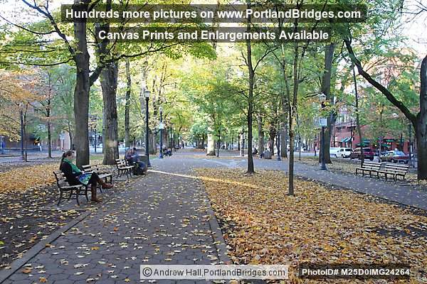 South Park Blocks, Fall Leaves, Downtown Portland