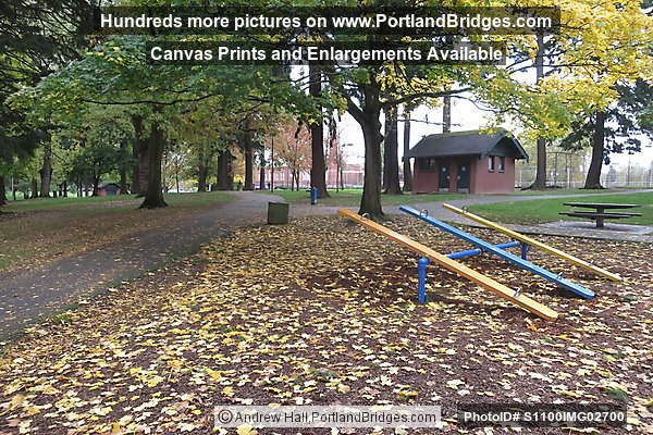 Grant Park, Fall Leaves, NE Portland