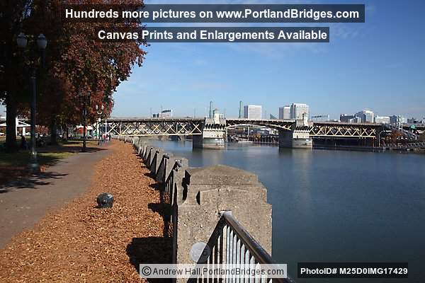 Tom McCall Waterfront Park, Fall Leaves (Portland, Oregon)