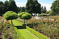 Portland Peninsula Rose Garden 