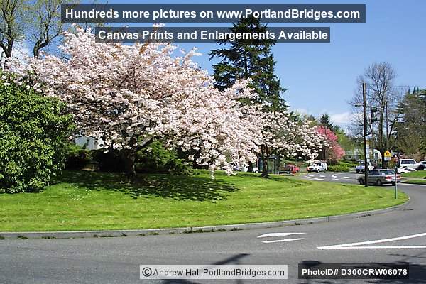 Circle, Laurelhurst Neighborhood, Portland