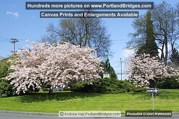 Circle, Laurelhurst Neighborhood, Portland