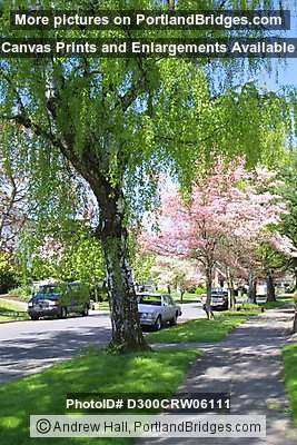 Laurelhurst Neighborhood, Portland