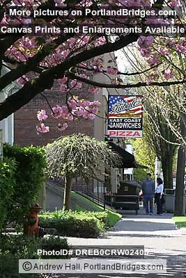 Northwest Portland, Tribute's Pizza, Spring Blossoms