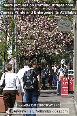 Northwest Portland, NW 23rd Avenue