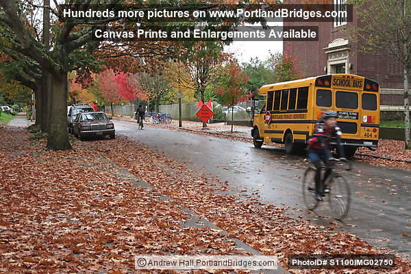 NE Portland Fall Leaves, School Bus
