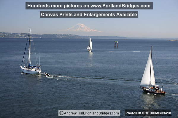 Mt. Rainier from Elliot Bay, Sailboats