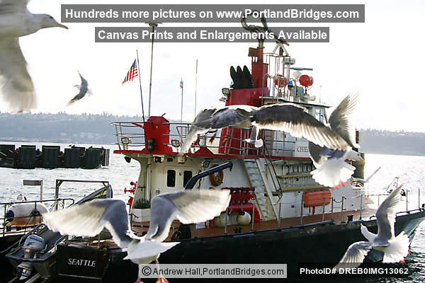 Seattle Gulls, Docks, Fire Boat