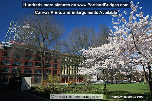 Portland, Oregon Sign, Spring Blossoms
