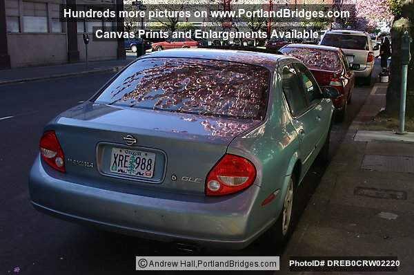 Car parked on street, Portland Chinatown