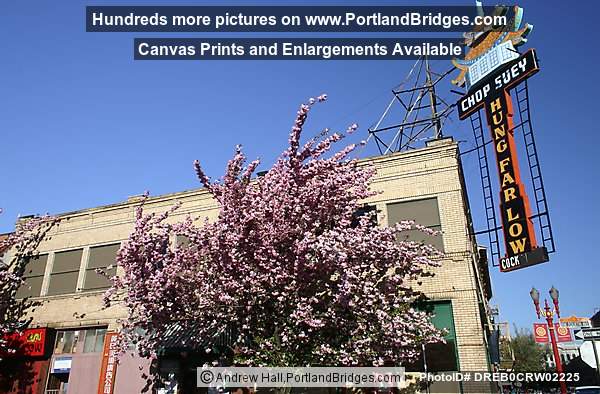 Hung Far Low, Chinatown, Portland