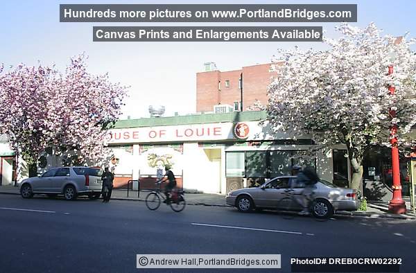 Portland Chinatown, Spring Blossoms