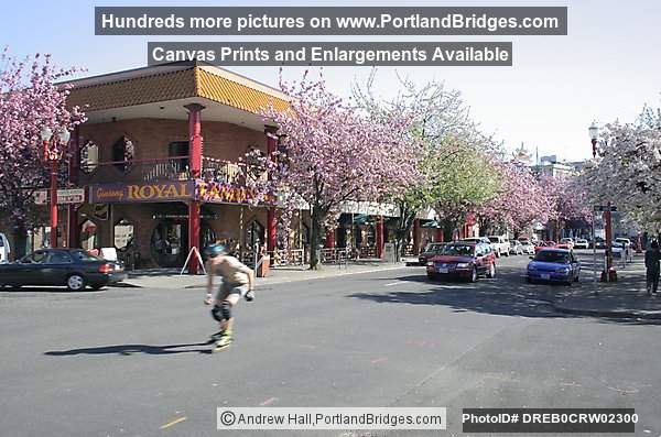Portland Chinatown, Spring Blossoms