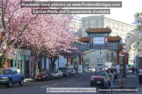 Portland Chinatown, Spring Blossoms