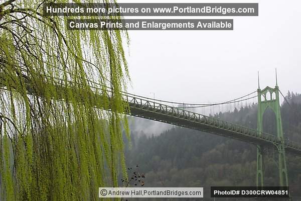 St. Johns Bridge, Daybreak (Portland, Oregon)