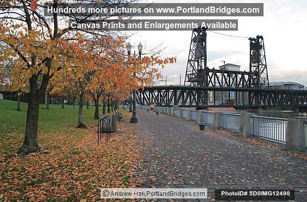 Steel Bridge, Fall Leaves (Portland, Oregon)