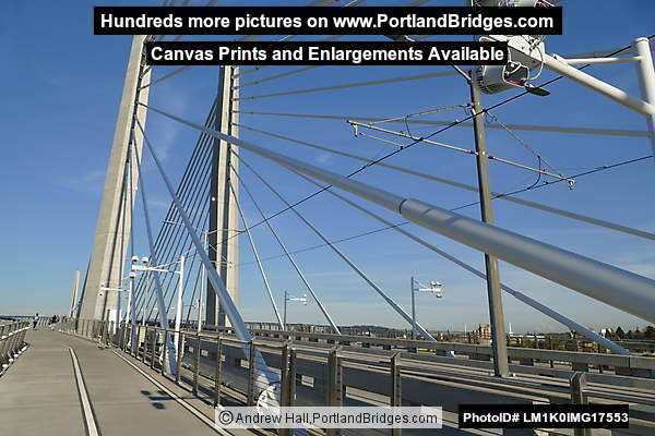 Walking Across the Tilikum Crossing Bridge (Portland, Oregon)