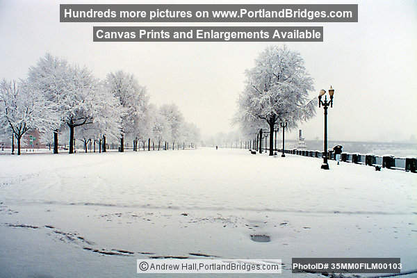 Tom McCall Waterfront Park, Portland Snow