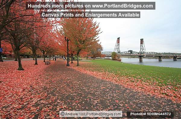 Fall Leaves, Hawthorne Bridge, Waterfront Park (Portland, Oregon)