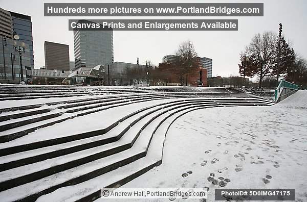 Snow, Tom McCall Waterfront Park, 2008 (Portland, Oregon)