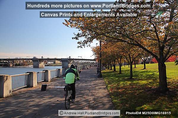 Tom McCall Waterfront Park, Fall Leaves, Cyclist (Portland, Oregon)